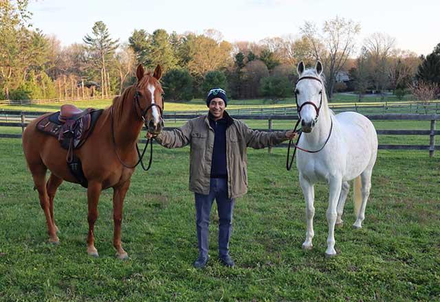 Sammy Eldin with horses