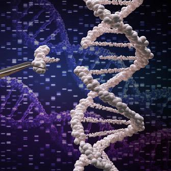基因操作和DNA修饰的概念与图形的DNA和片段被放置在镊子.